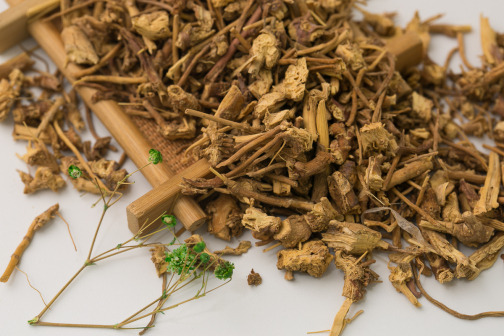 白薇（夹竹桃科白前属植物）_百度百科