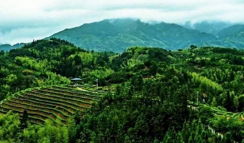 大田五龙山生态旅游景区