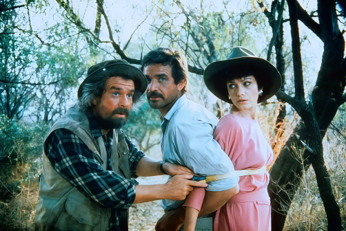 《上帝也疯狂2》剧照