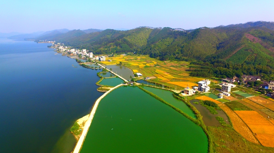 data-lemmaid="2459322">合浦县 /a>城东北部,大廉山腹地,为合浦水库
