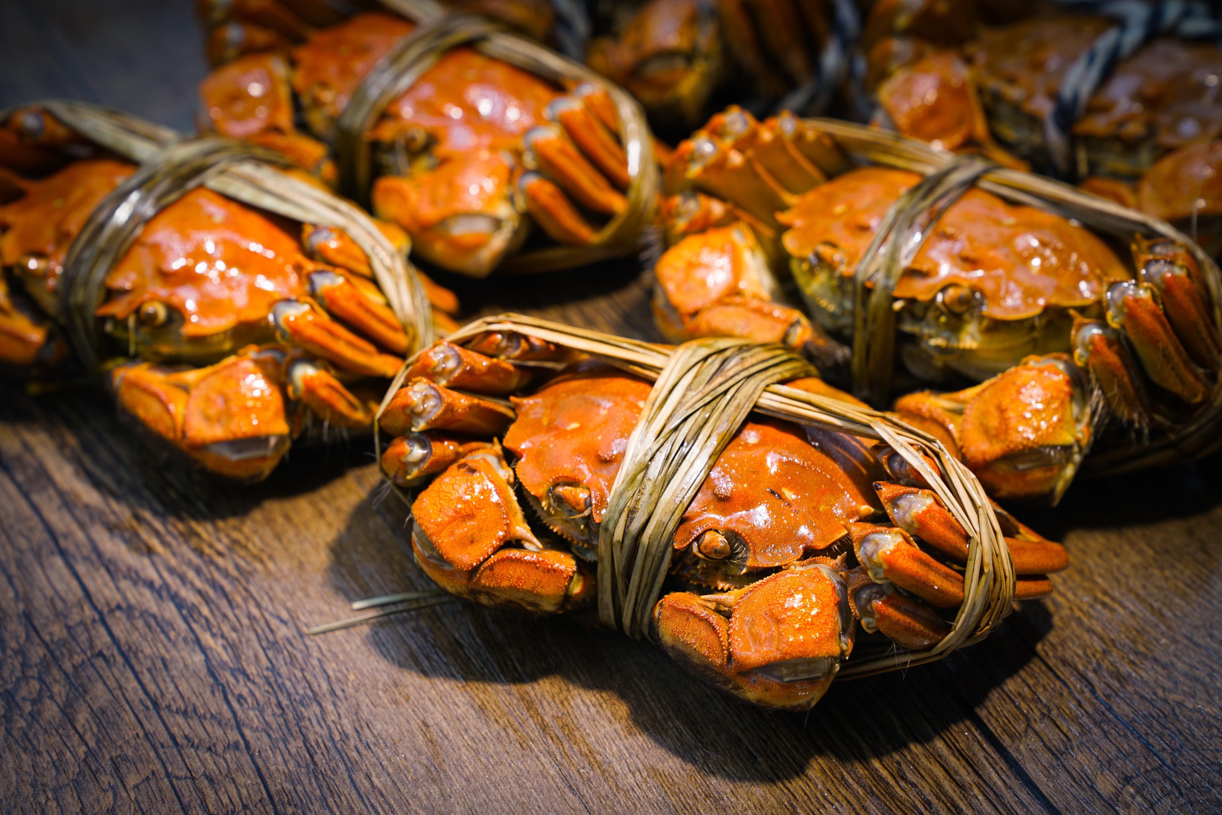 ">上海海洋大学 /a>教授,上海市 a target="_blank" href="/item/中华