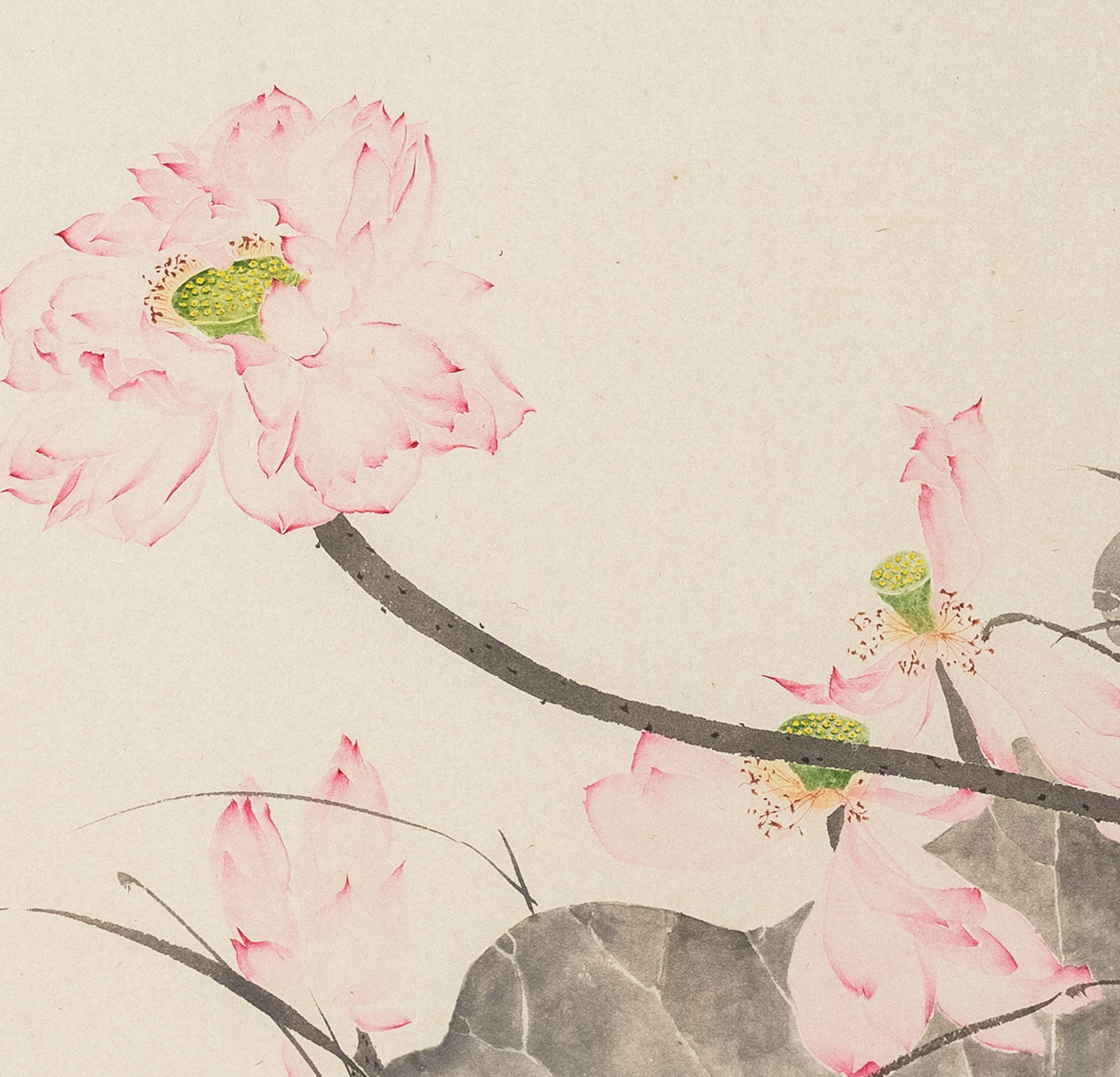 忽闻道九品莲开