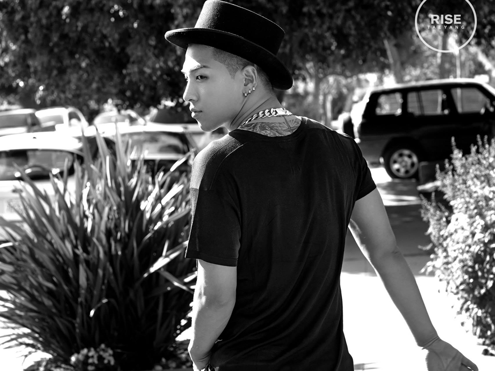  p data-id="gns08wi3mt">taeyang(太阳,      ),本名东永裴