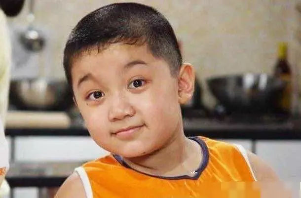 《 a target="_blank" href="/item/家有儿女/22050" data-lemmaid="