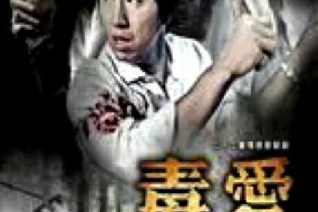 姚星竹,杨伟伟,李毅,田丘莎主演的一部22集言情电视剧
