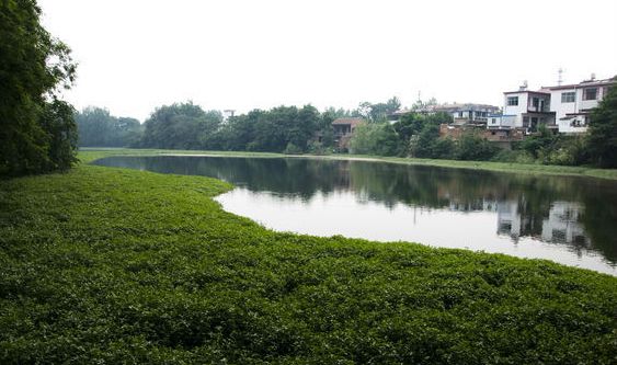 data-lemmaid="2654515">沈丘县 /a>东南部,泉河两岸,东与大邢庄乡和 