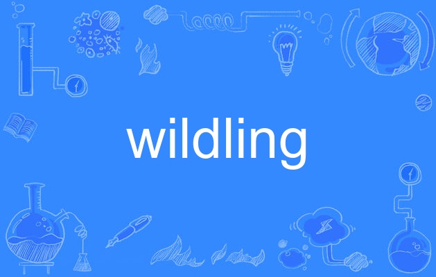  p>wildling,英语单词,主要用作名词,作名词时译为"野生动物,野生植物