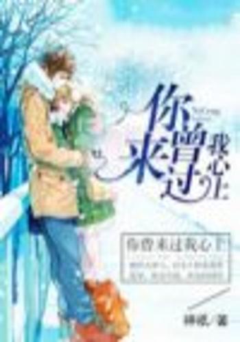 你曾来过我心上