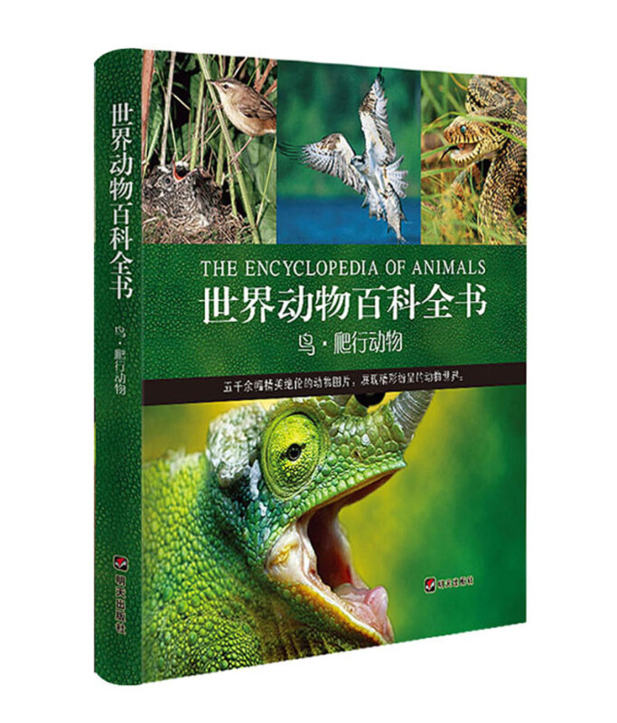 世界动物百科全书:鸟·爬行动物