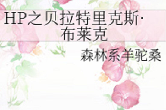 hp之贝拉特里克斯·布莱克