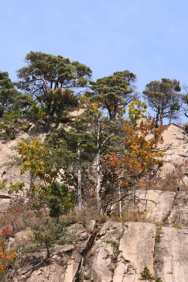 西丰猴石山,西丰城子山_文秘苑图库