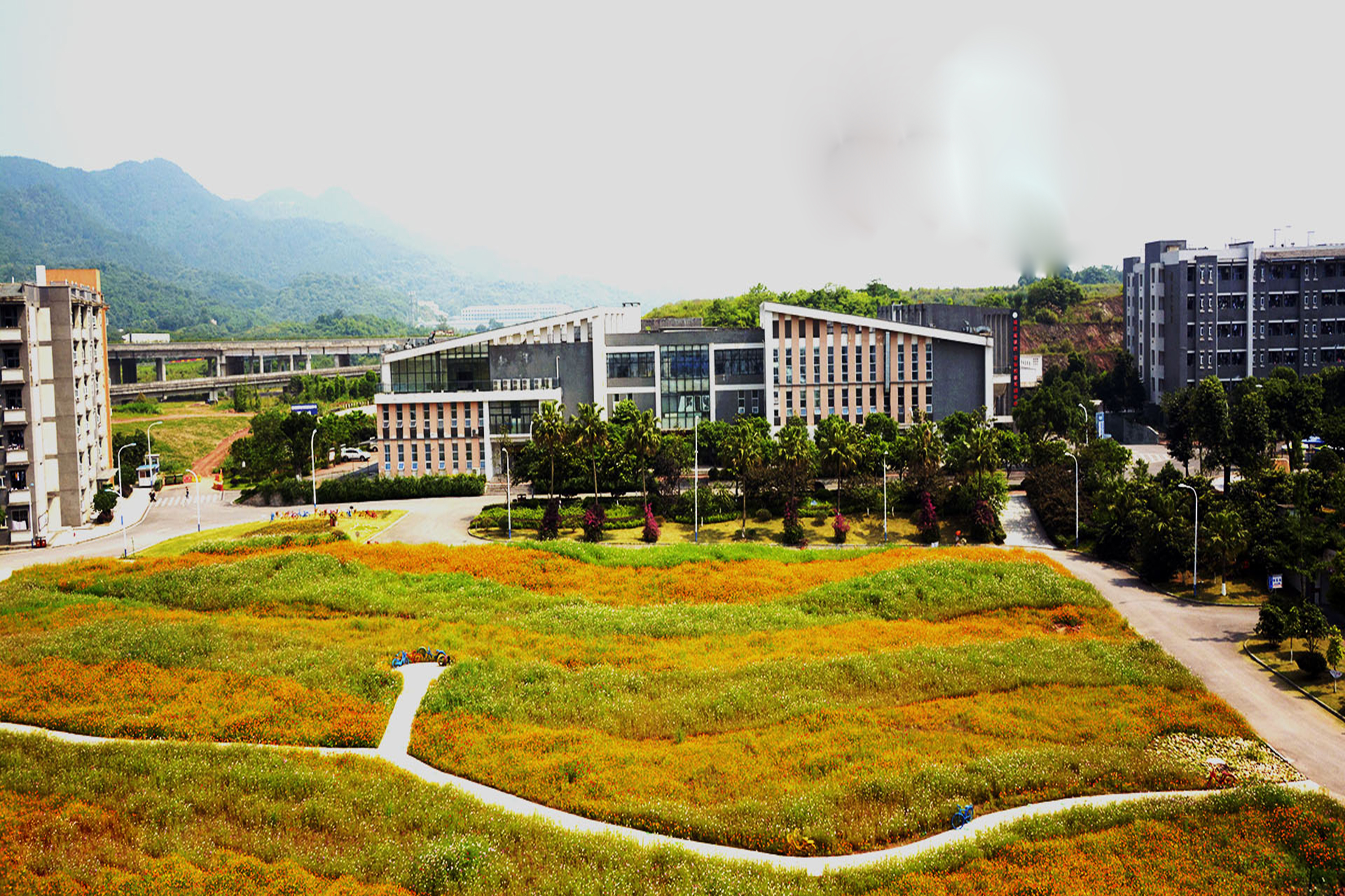 chongqing business vocational college