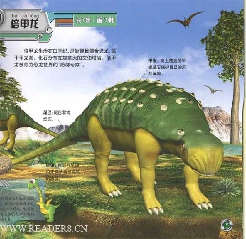 p>胄甲龙(panoplosaurus)是属于 a href="#"