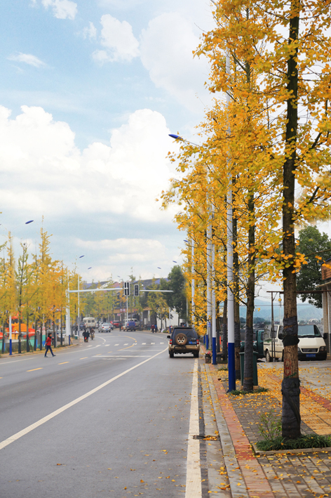  p data-id="go04r0fot6">春华镇隶属于湖南省长沙市 a target="