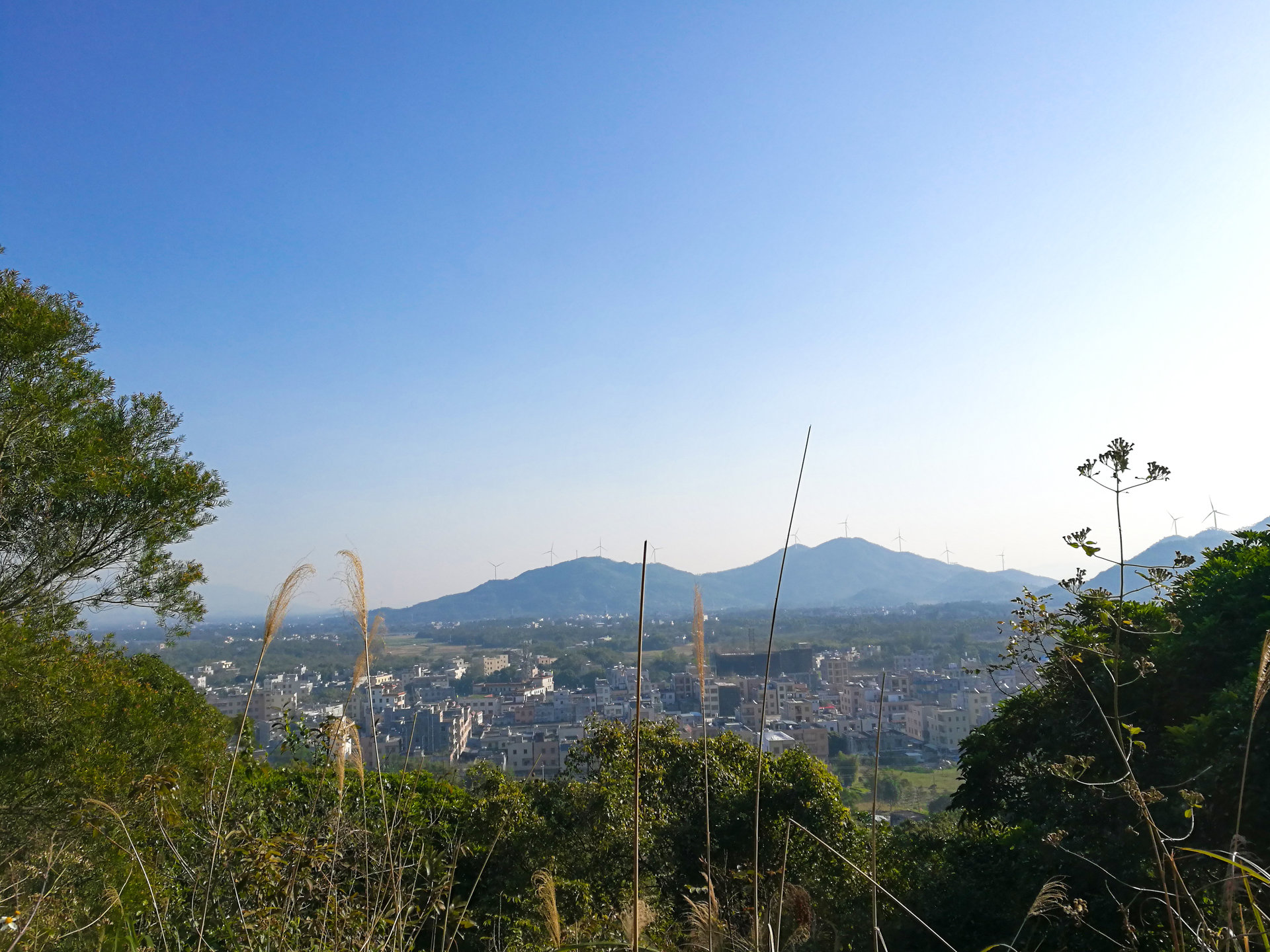  p data-id="gnvfqy7da9">马踏镇,隶属于广东省茂名市电白区,地处 a