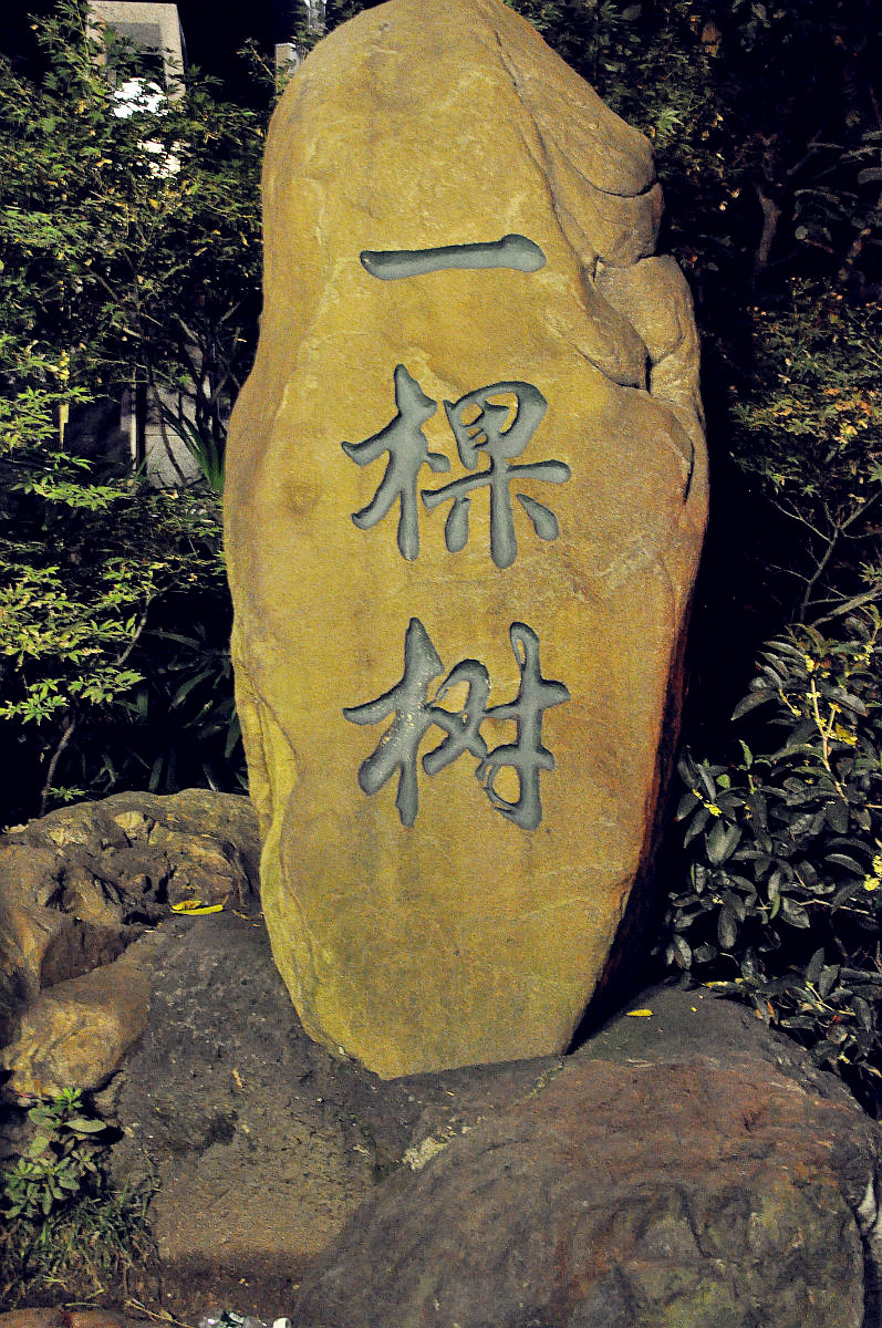  p>重庆南山一棵树观景台位于重庆市 a target="_blank" href="/item