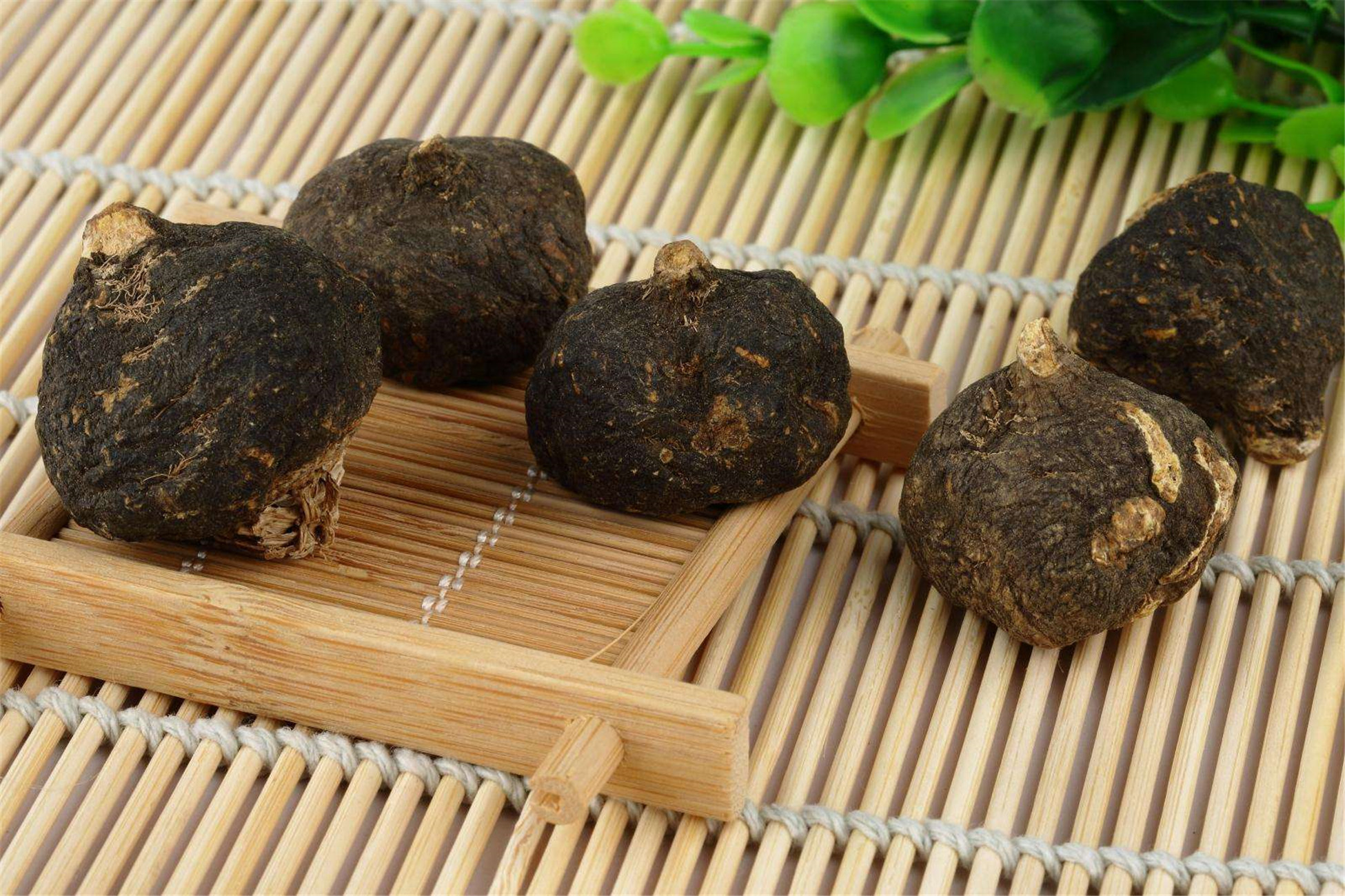 玛卡草
