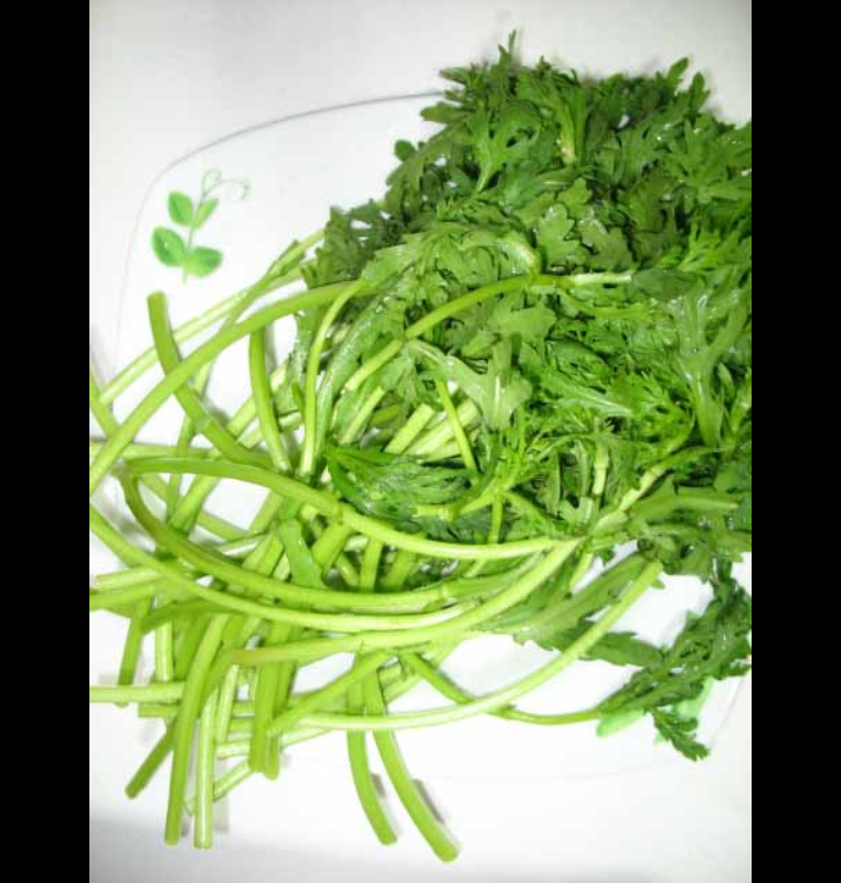  p>绿叶菜是一类主要以鲜嫩的绿叶,叶柄和嫩茎为产品的 a target="