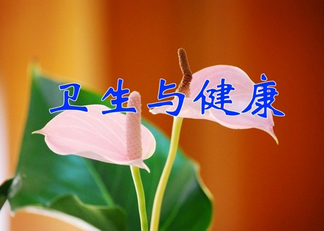  p>《卫生与健康》是2007年云南美术出版社出版的 a target="_blank"