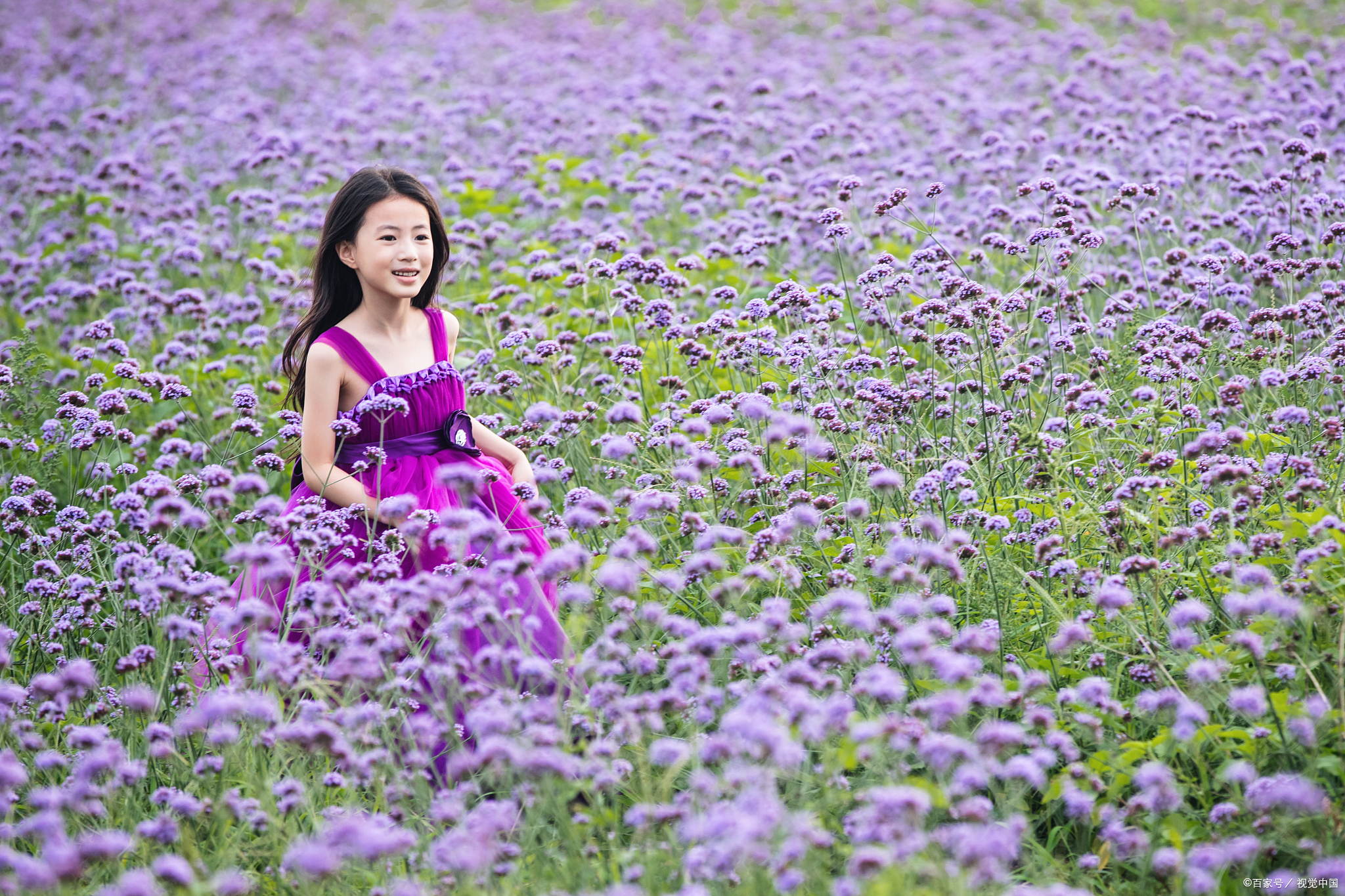 汉字找不同 妹 和 妺 一样吗 它们有什么区别 百科ta说