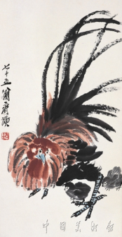 公鸡护雏