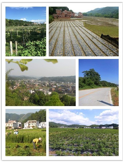 石芫乡,隶属江西省赣州市 a target="_blank" href="/item/赣县区