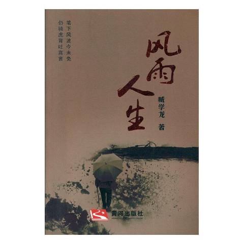 风雨人生