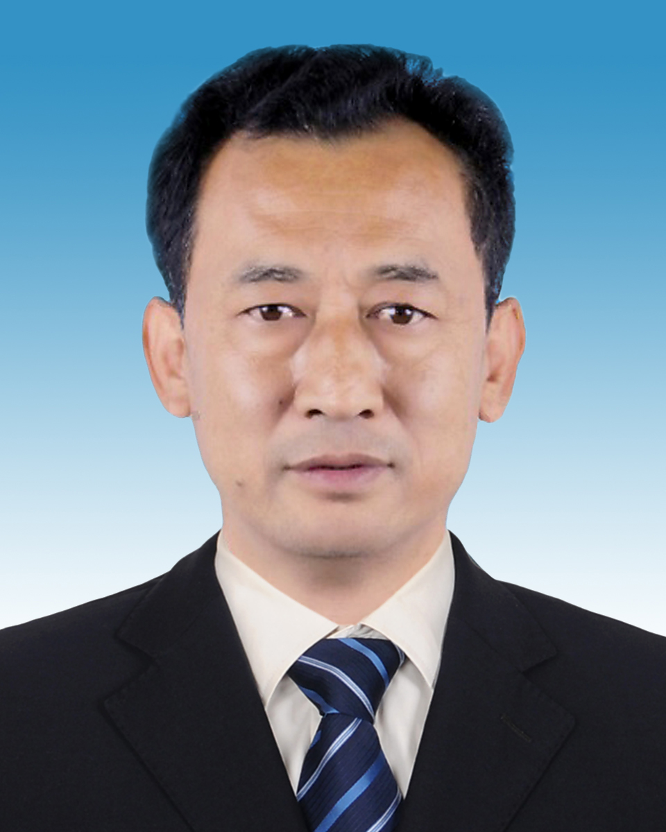 杨树林