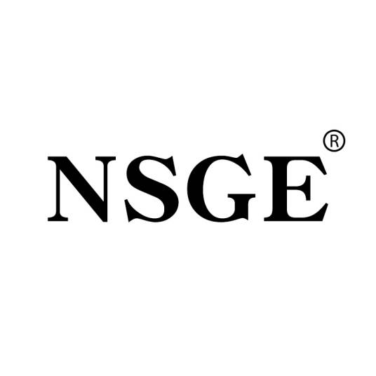NSGE_百度百科