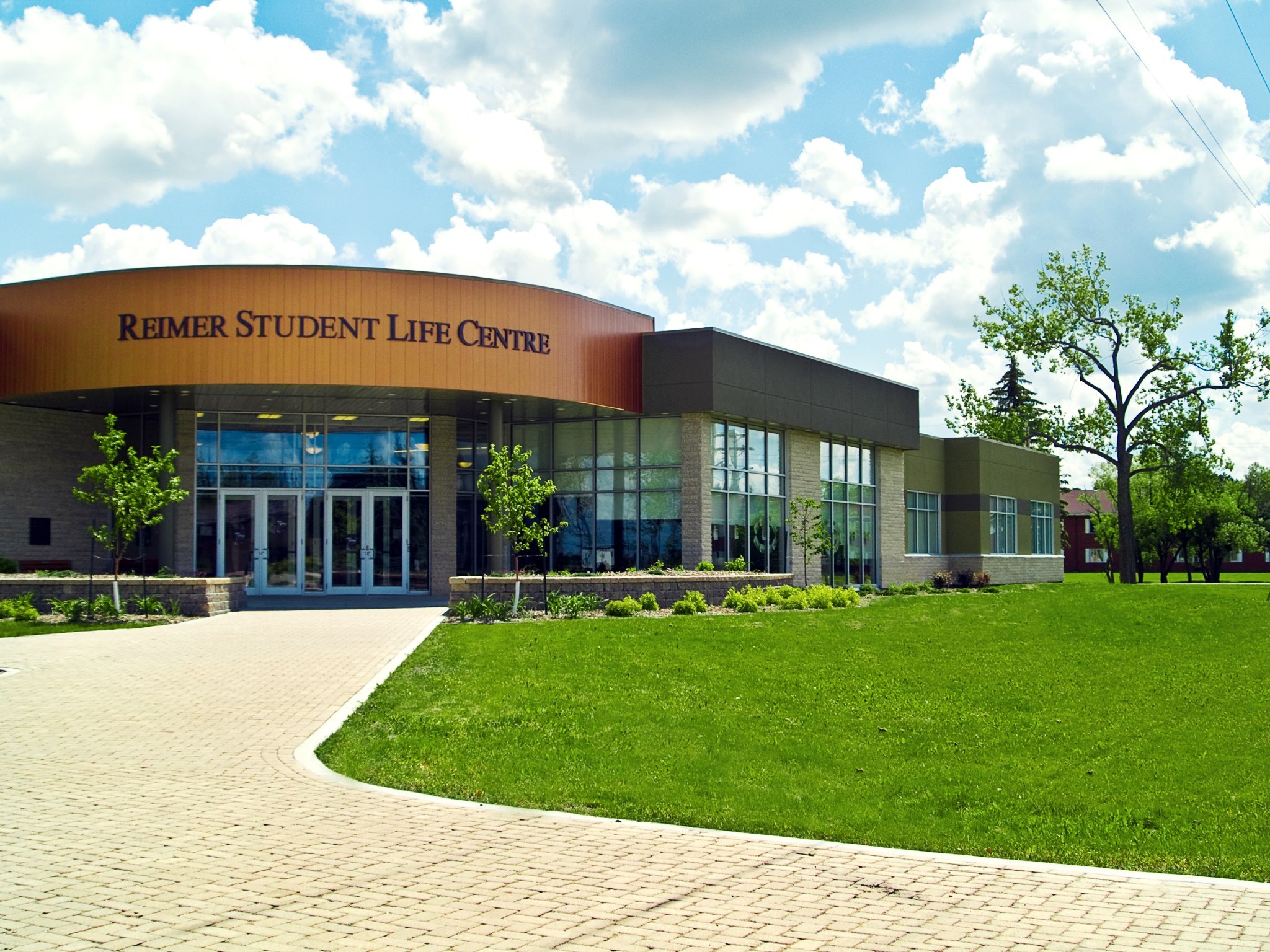 普罗维登斯大学学院