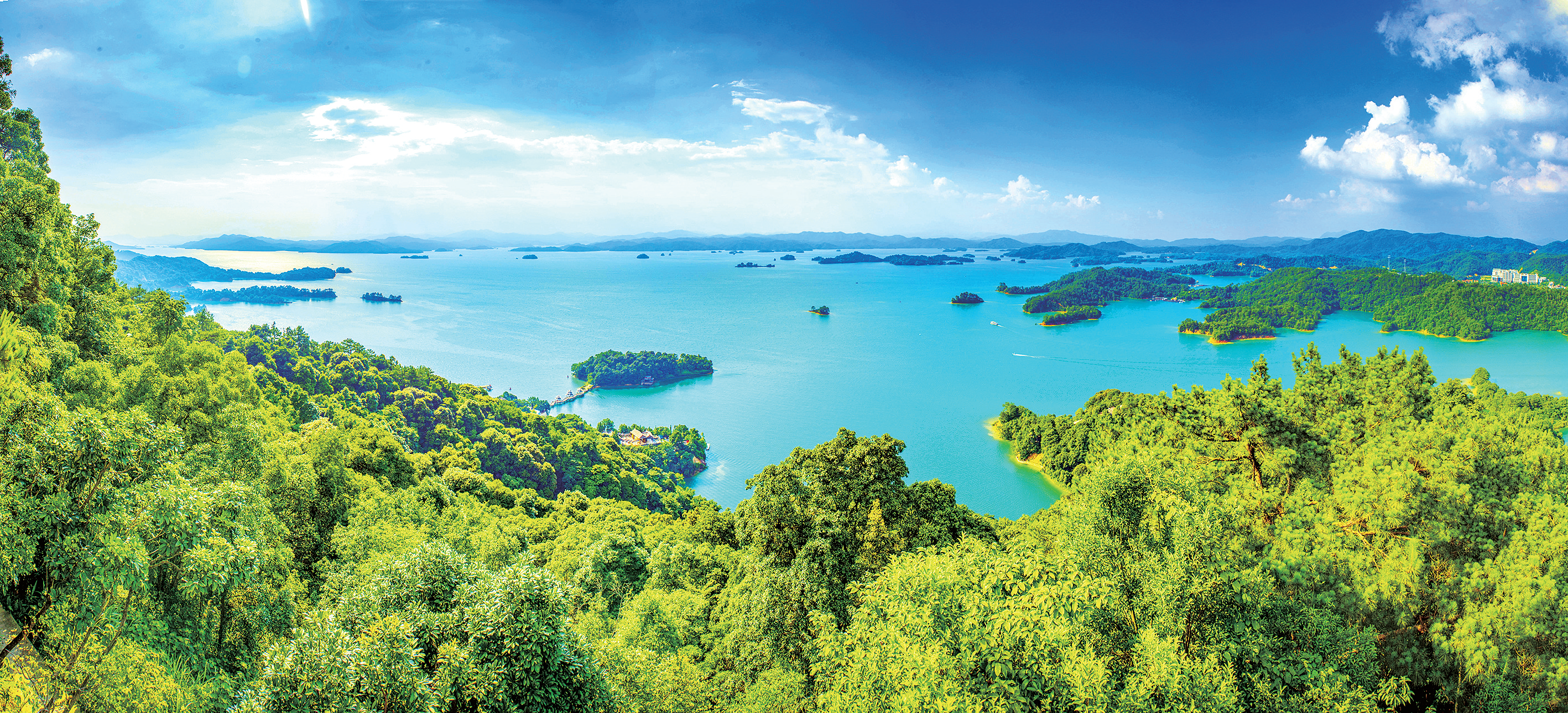 河源东源县 全网资源