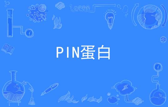 PIN蛋白_百度百科