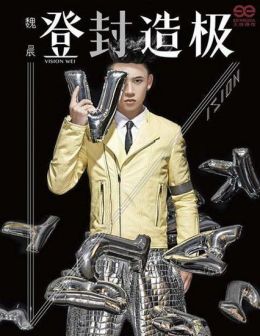 《登峰造极》专辑封面
