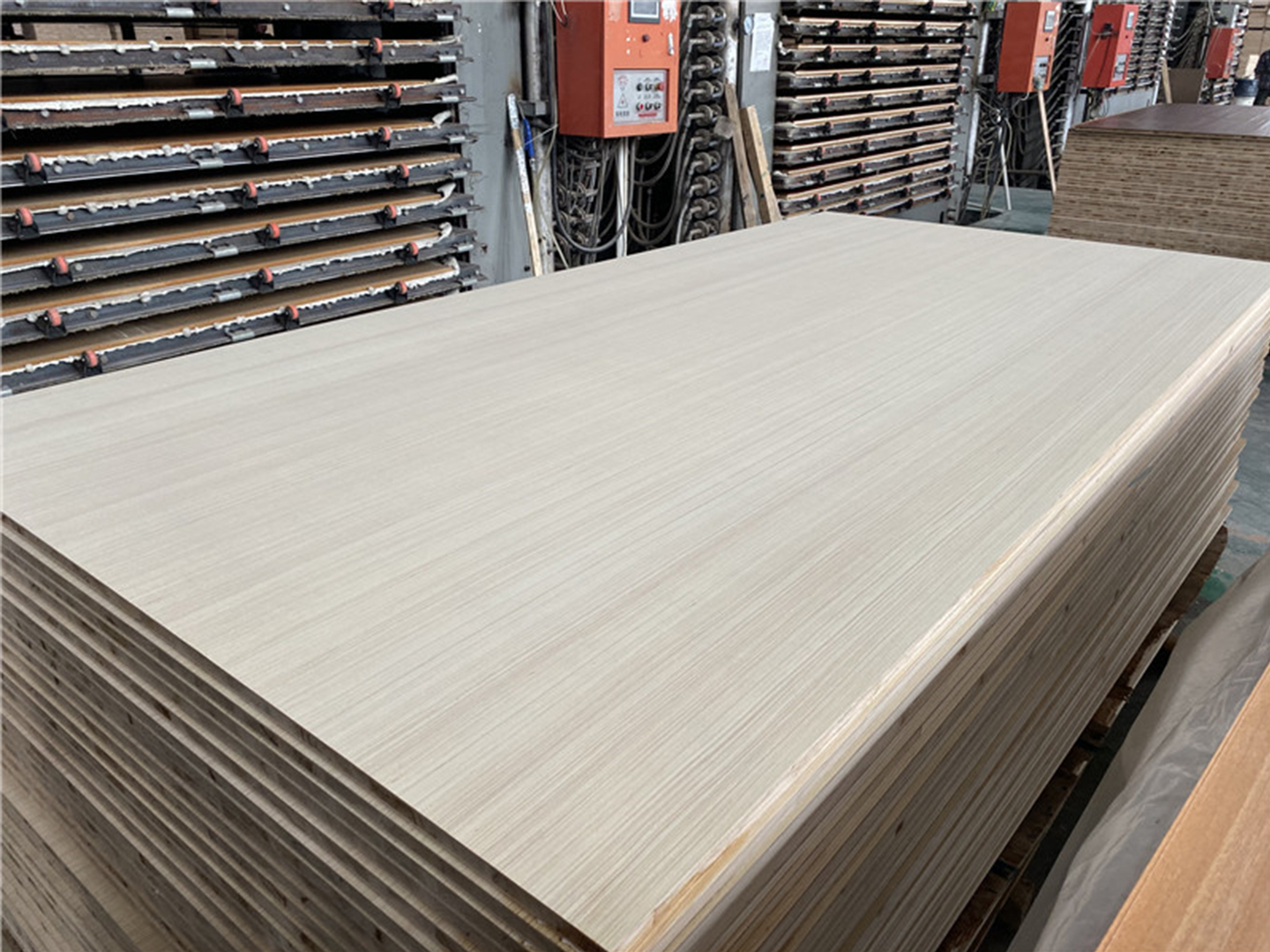 "千千树"板材主营产品为<a target="