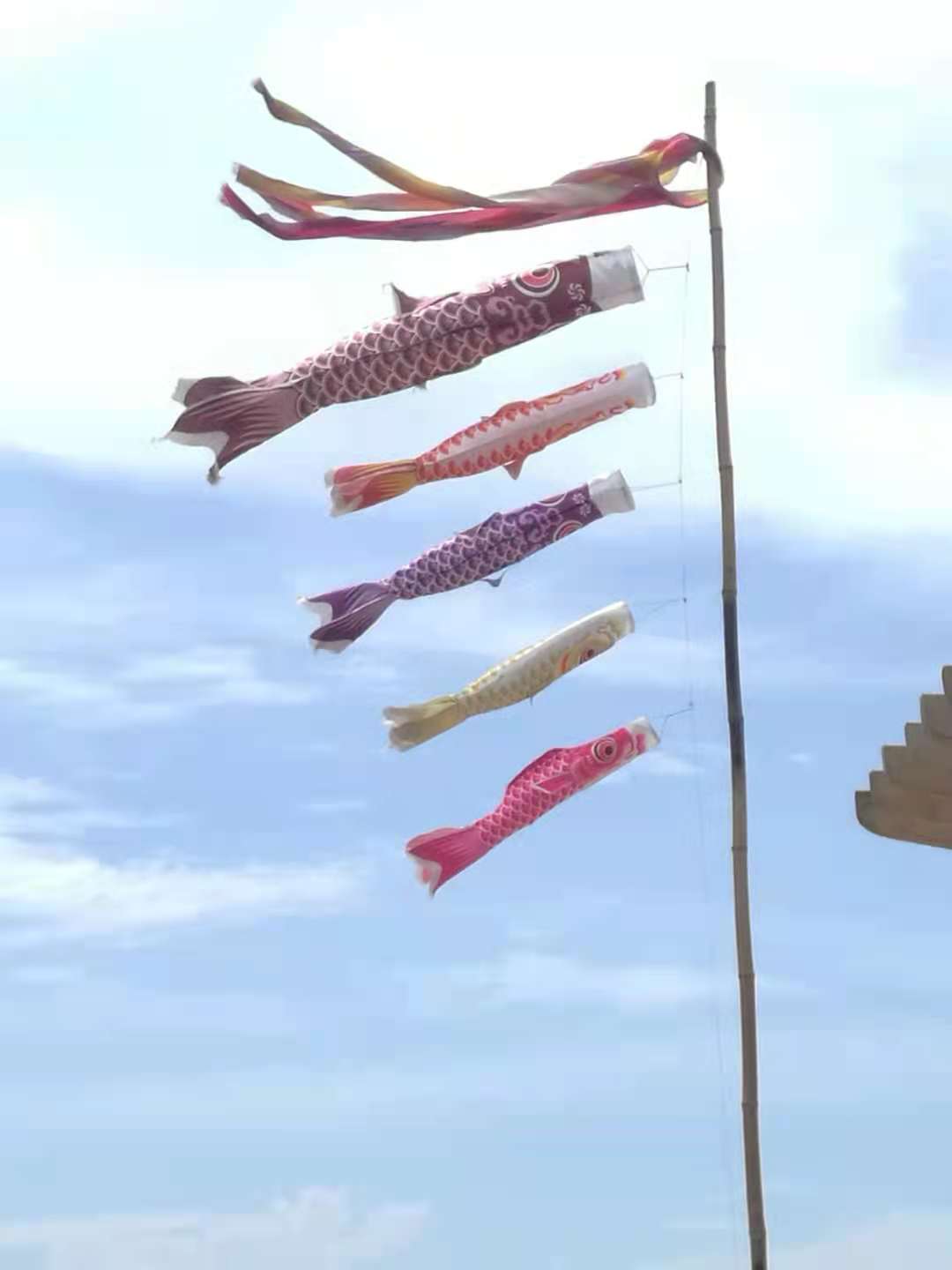 2798049" data-lemmaid="2798049">男孩节 /a>(鲤のぼり/こいのぼり