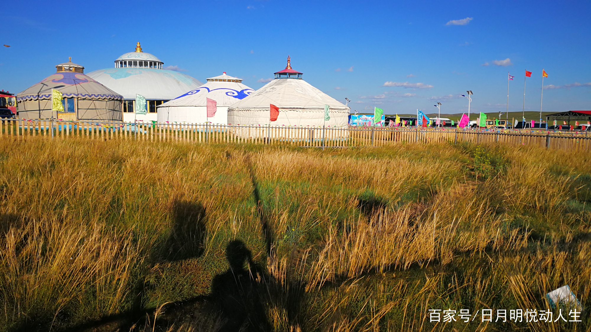 希拉穆仁草原之旅，去看看美丽的蒙古包_百科TA说