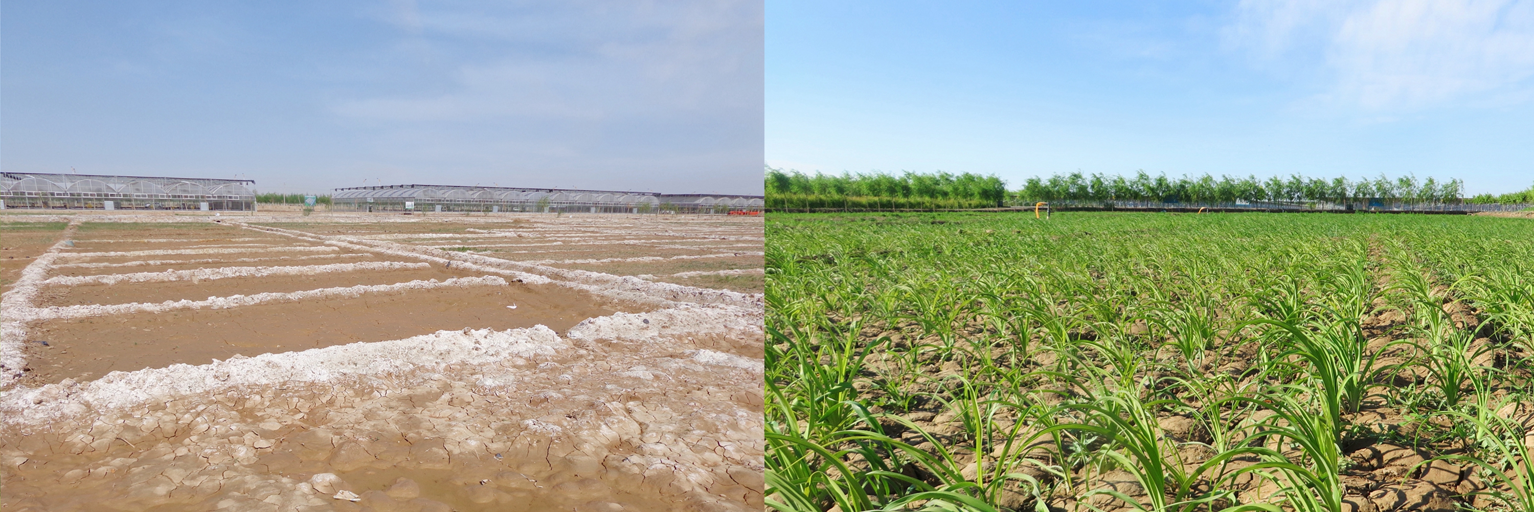 蒙草生态环境(集团)股份有限公司
