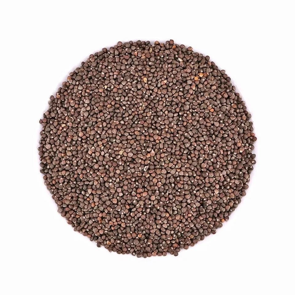 data-id="gnbxcvhi01">紫苏子, a target="_blank" href="/item/中药