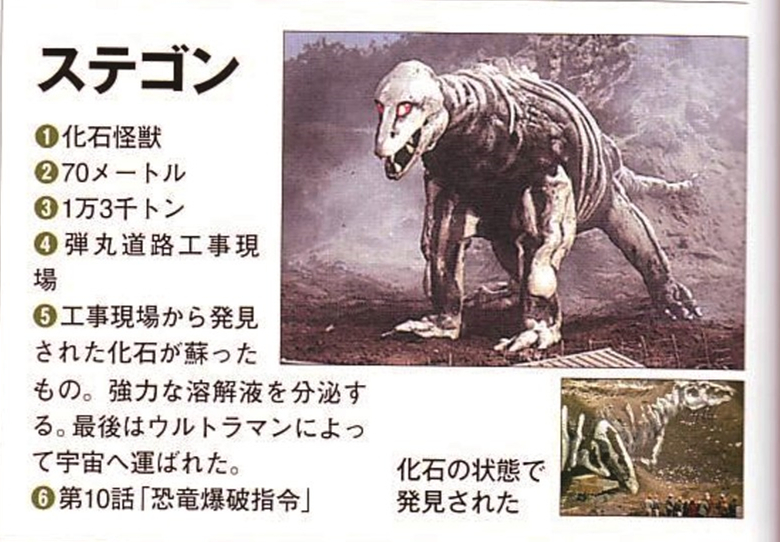 斯苔贡