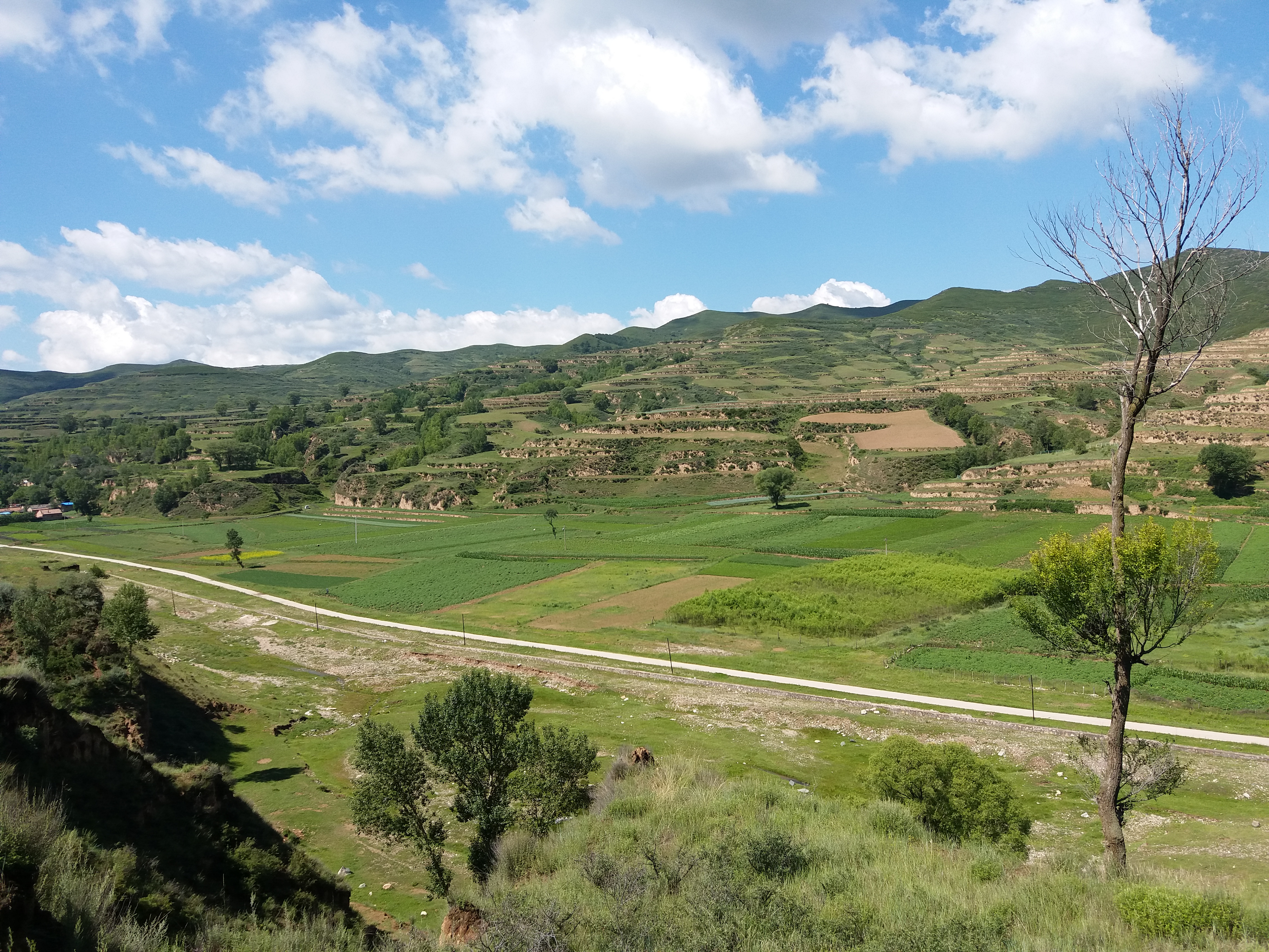  p>龙家庄坐落于山西省静乐县东南部40公里处的河谷平原.