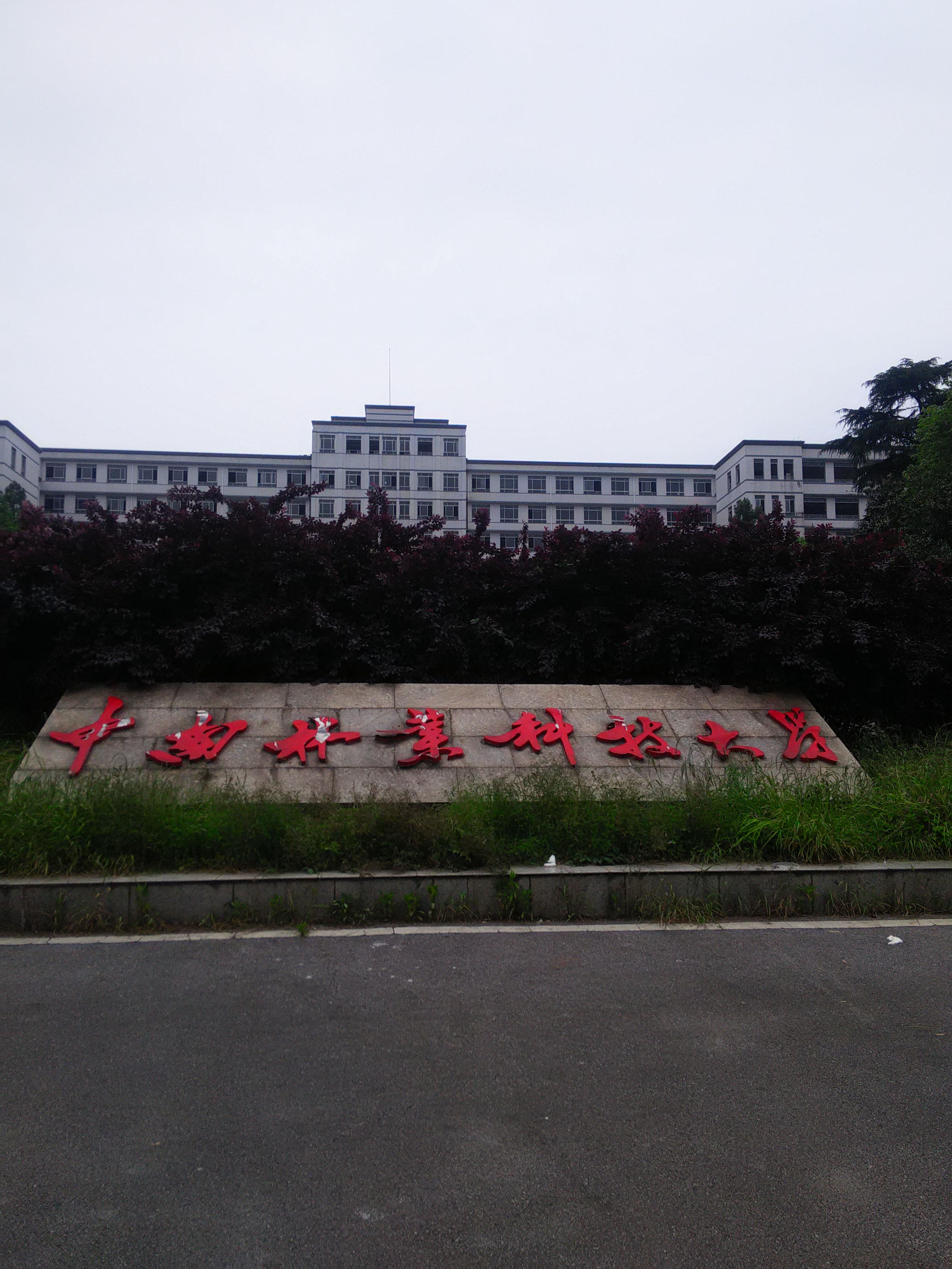 中南林业科技大学华天旅游学院