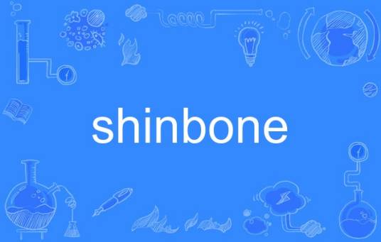 shinbone（英语单词）_百度百科