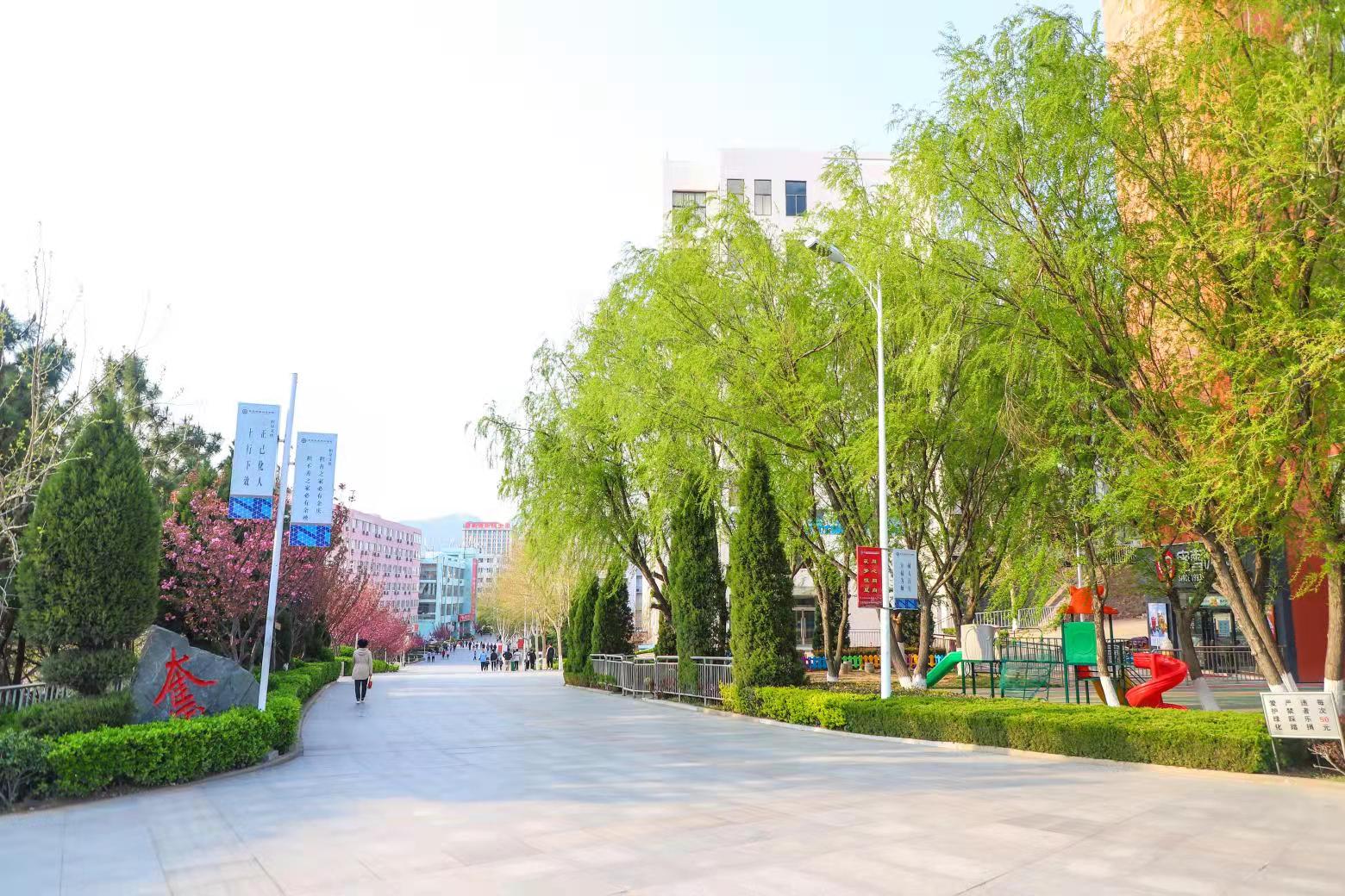 青岛恒星职业技术学院