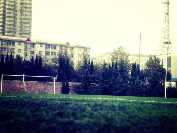 洛阳市第四十三中