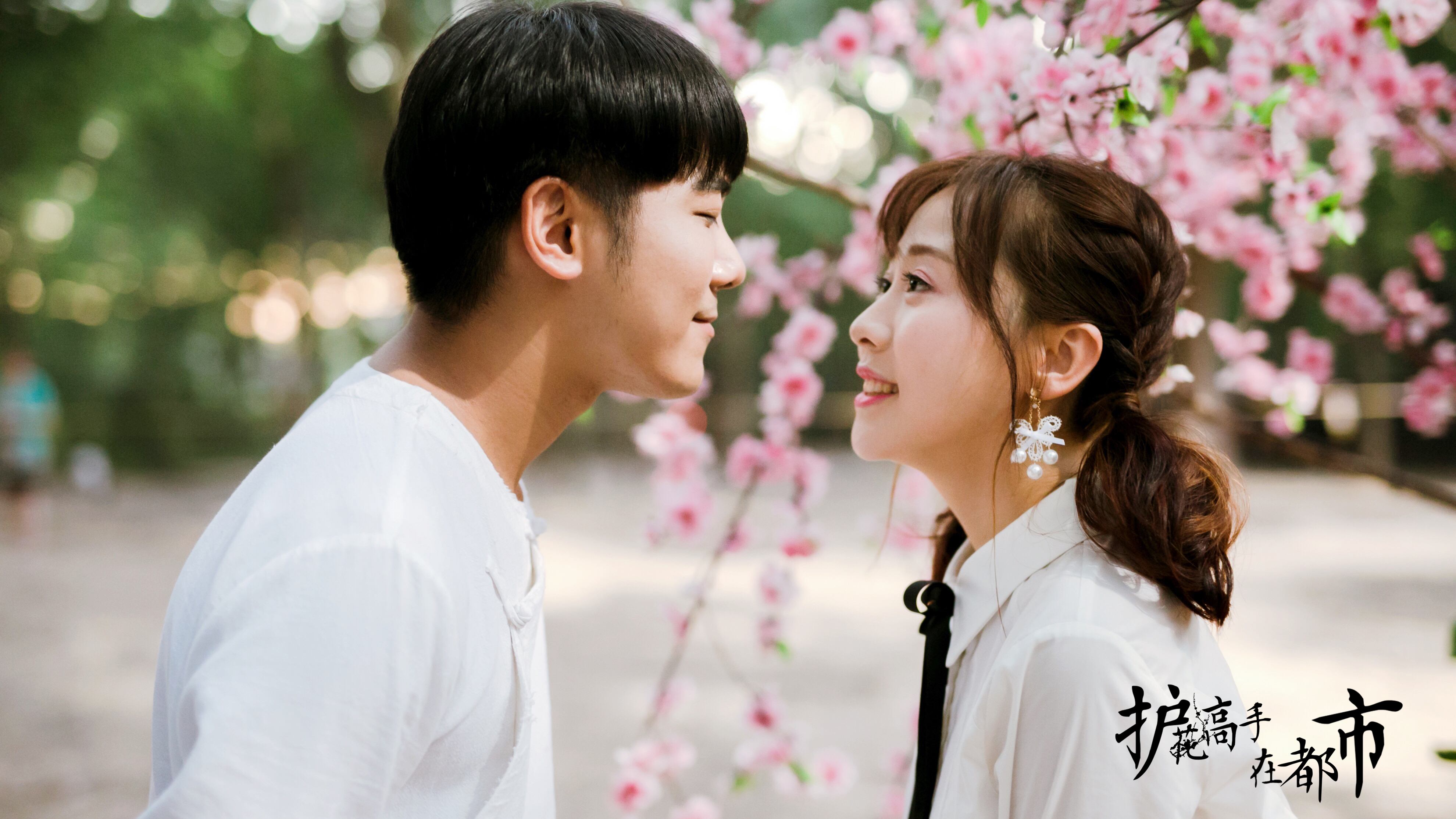 护花高手在都市