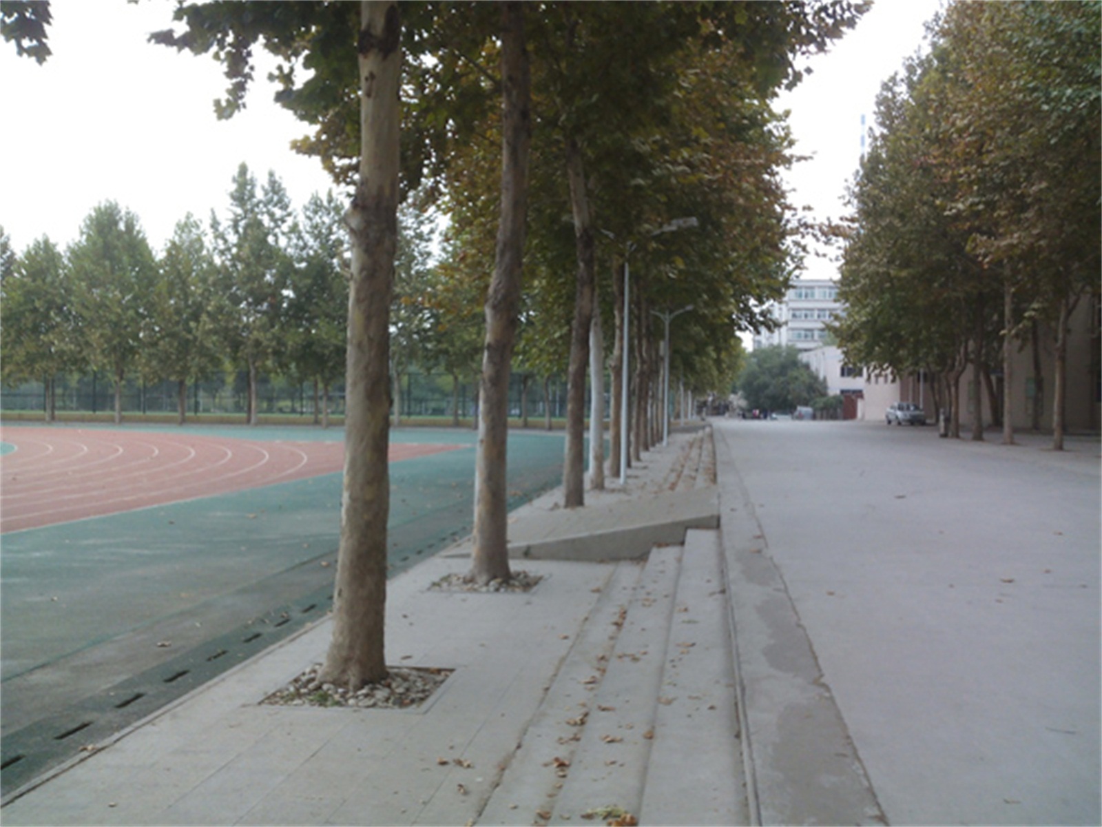 历城二中小升初(历城二中小升初招生条件)  第2张