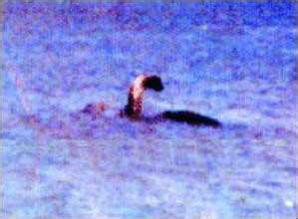  p>世界十大水怪是指 a href="#" data-lemmaid="2739133">长白山天池