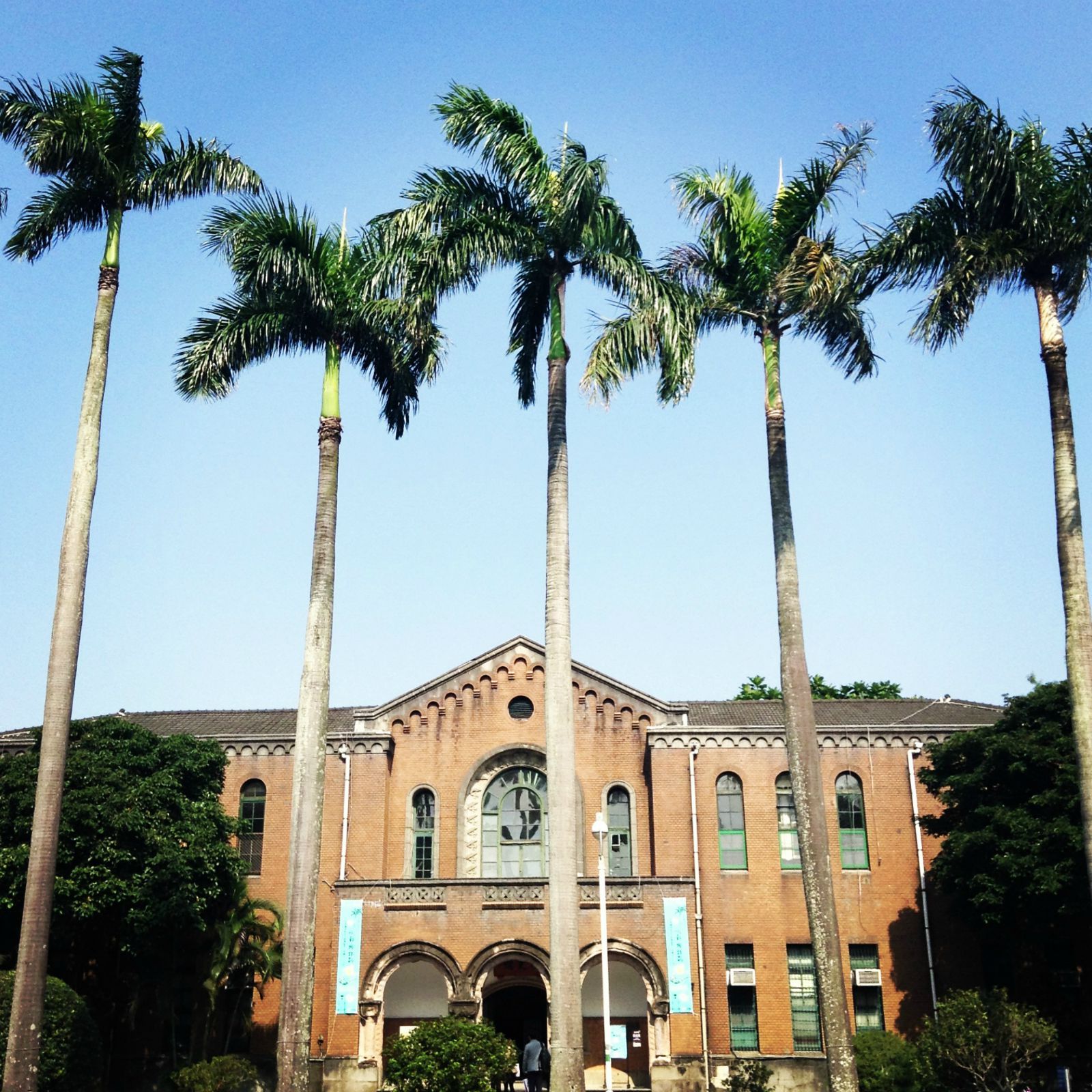 国立台湾大学