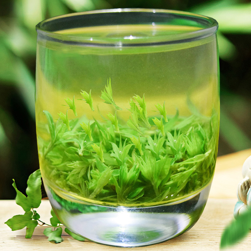 余庆小叶苦丁茶