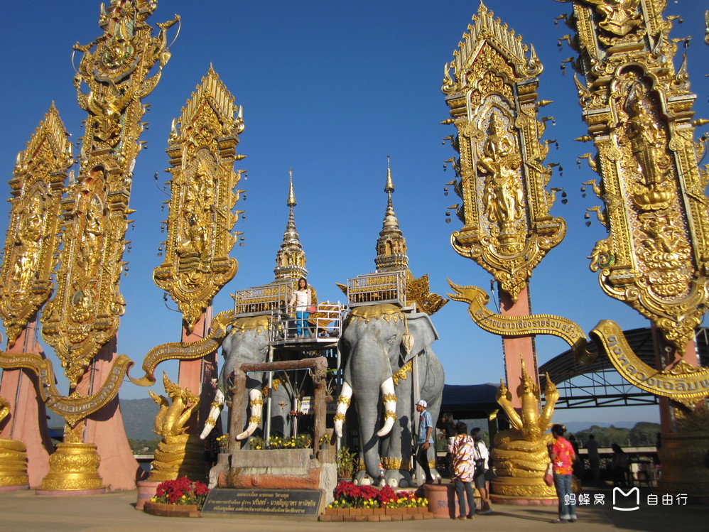 勇闯金三角(卧底勇闯金三角)